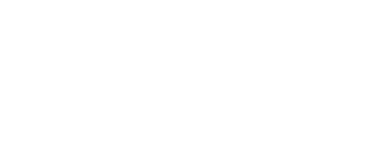 Bleed From Within